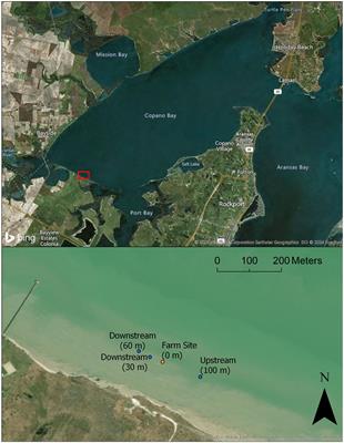 Short-term effects of a research-scale oyster cage aquaculture system on sediment transport, water quality, and seagrass meadow health in Copano Bay, TX, USA